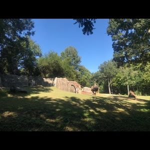 Meet your Posher, Cynthia